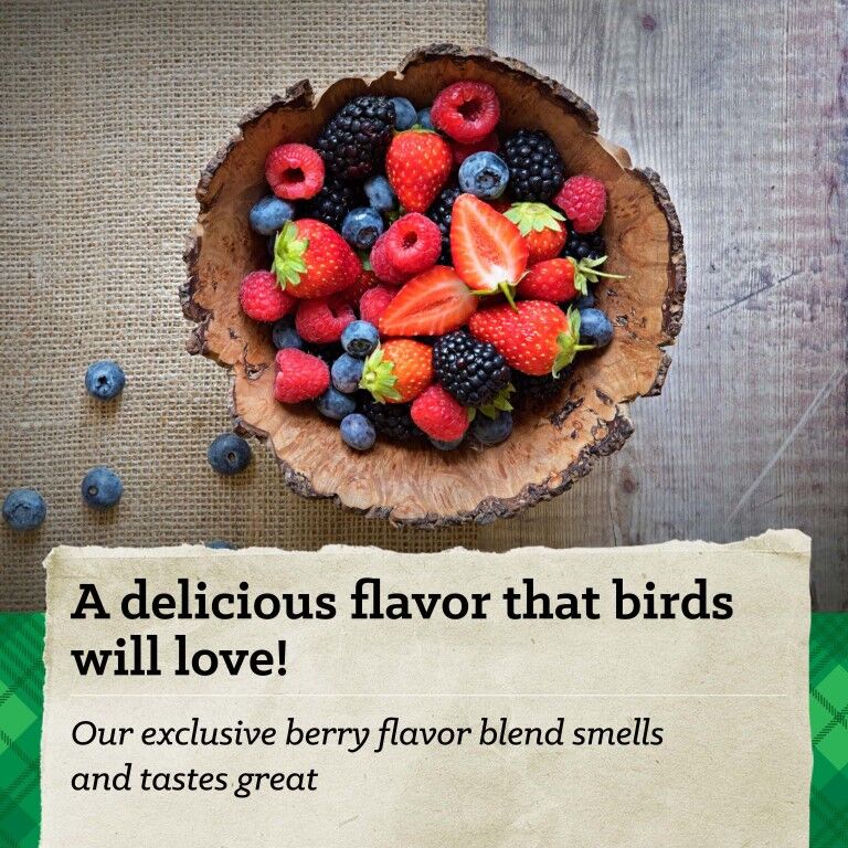 Nutrena Hi Pro Scratch Grains, 50-Lb