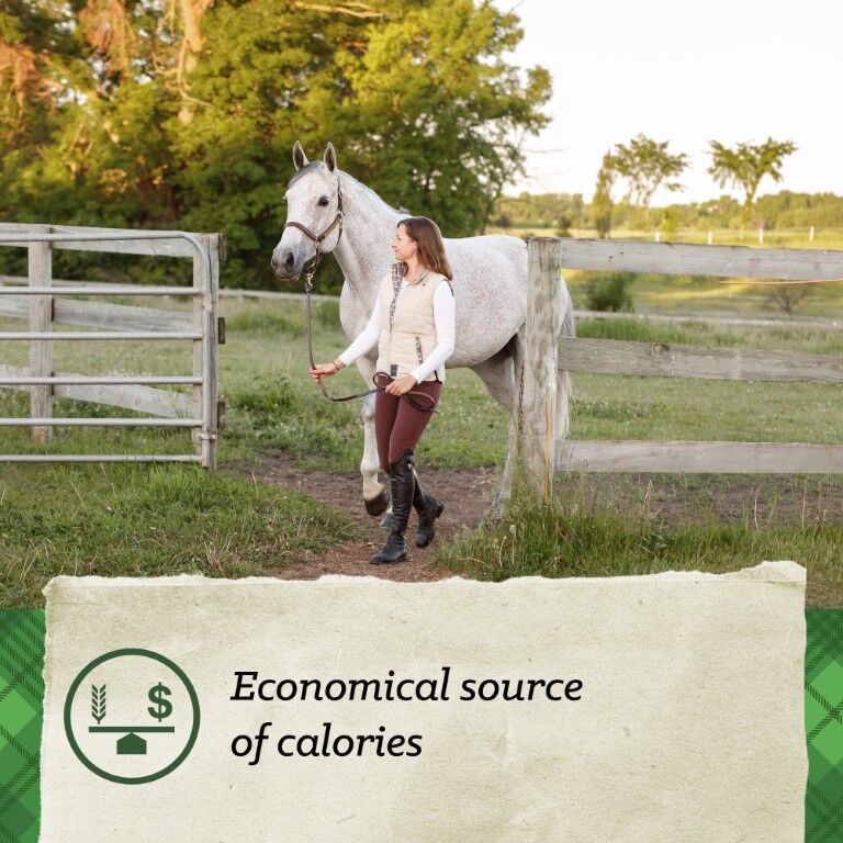 Nutrena Triumph 12-8 Horse Pellet, 50-Lb