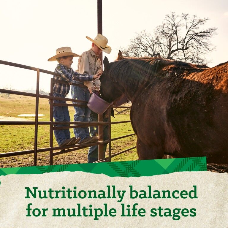 Nutrena Triumph 12-8 Horse Pellet, 50-Lb