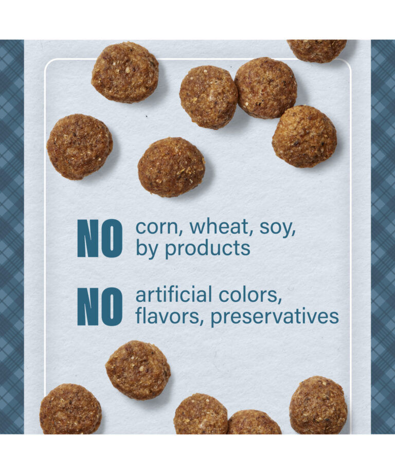 Nutrena Loyall Life Advanced Solutions Sensitive Skin & Coat Salmon & Oatmeal Dog Food, 6-Lb