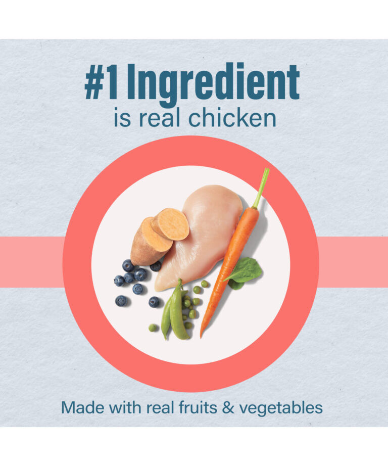 Nutrena Loyall Life Chicken & Brown Rice Dog Food, 6-Lb