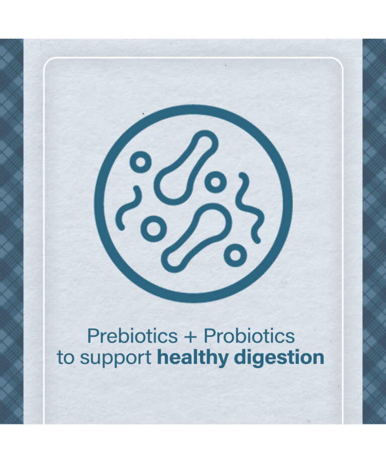 Nutrena Loyall Life Chicken & Brown Rice Dog Food, 6-Lb