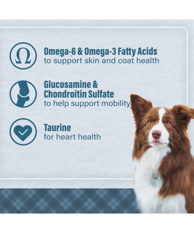 Nutrena Loyall Life Chicken & Brown Rice Dog Food, 6-Lb