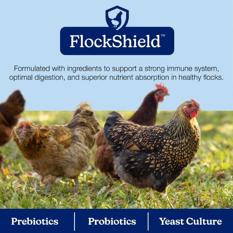 Nutrena NatureWise Silkie and Ornamental Layer Feed, 30-Lb