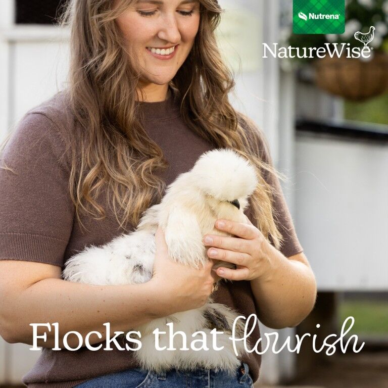 Nutrena NatureWise Silkie and Ornamental Layer Feed, 30-Lb