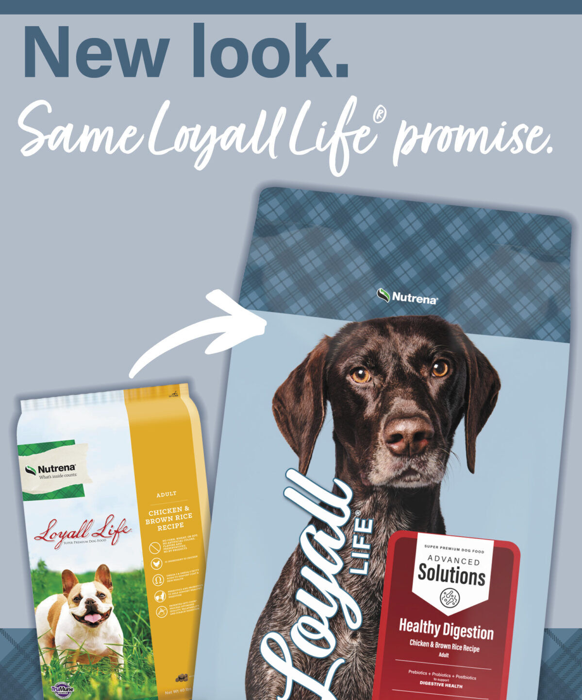 Nutrena Loyall Life Advanced Solutions Healthy Digestion Chicken & Brown Rice Dog Food, 30-Lb