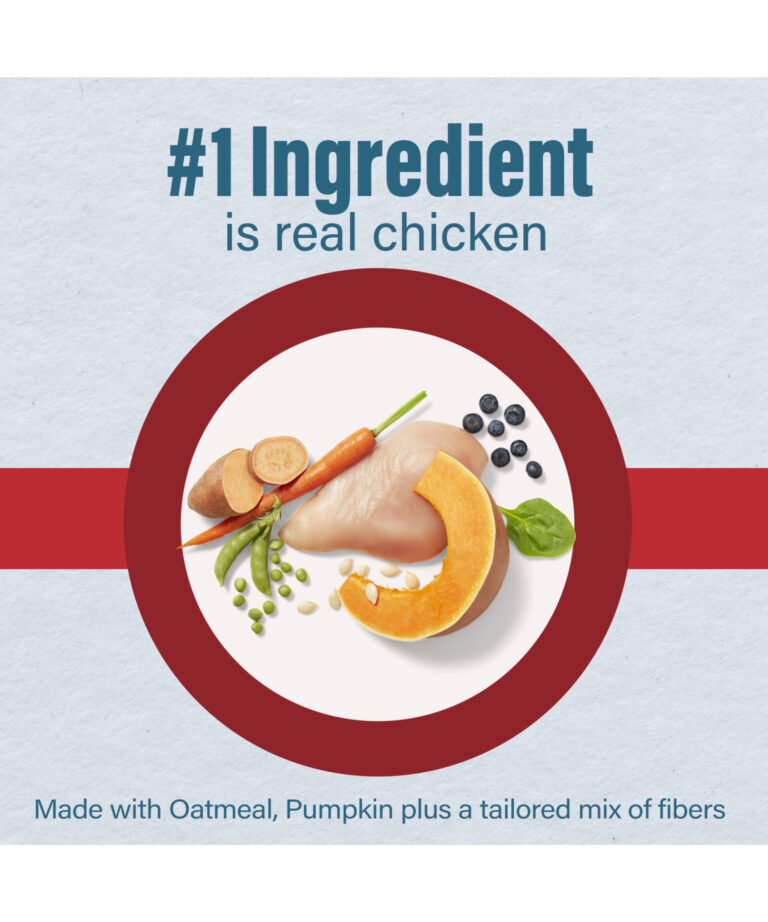 Nutrena Loyall Life Advanced Solutions Healthy Digestion Chicken & Brown Rice Dog Food, 30-Lb