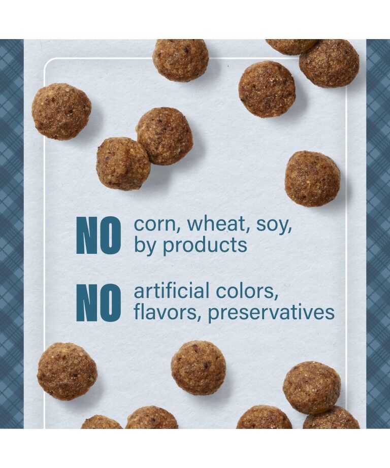 Nutrena Loyall Life Advanced Solutions Healthy Digestion Chicken & Brown Rice Dog Food, 6-Lb