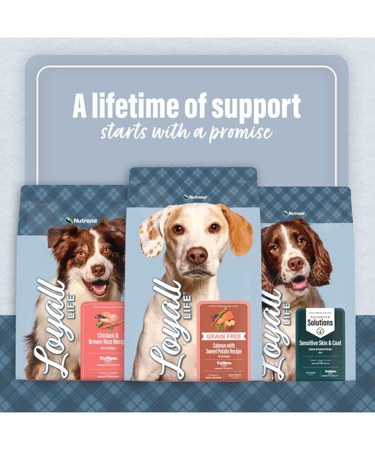 Nutrena Loyall Life Advanced Solutions Healthy Digestion Chicken & Brown Rice Dog Food, 6-Lb