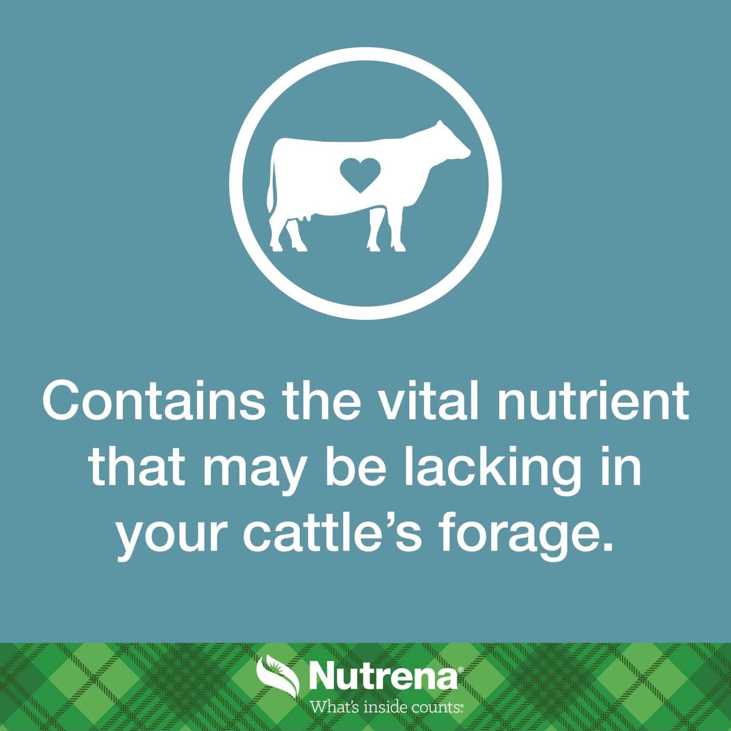 Nutrena NutreBeef Cattle Mineral, 50-Lb