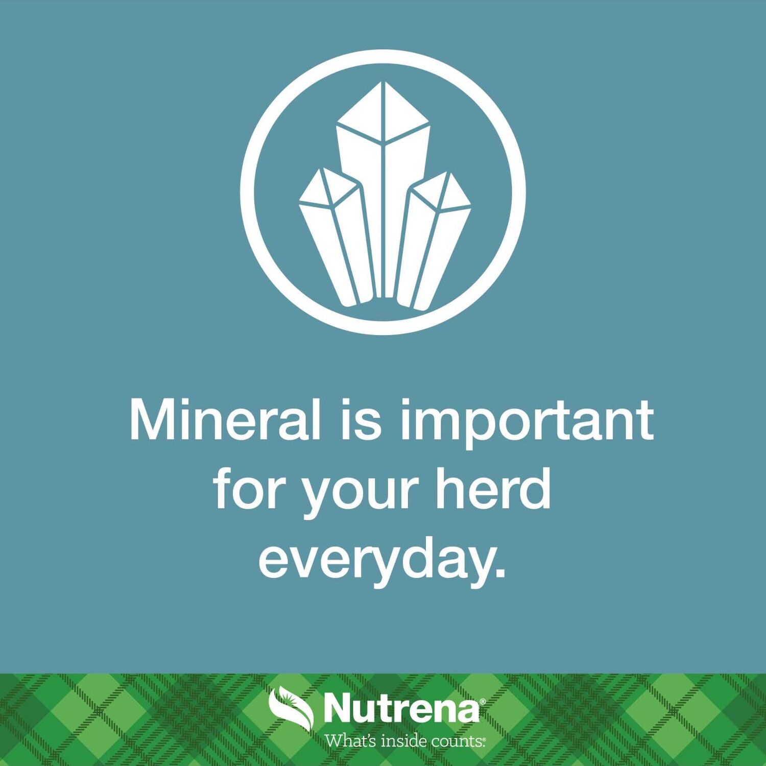 Nutrena NutreBeef Cattle Mineral, 50-Lb