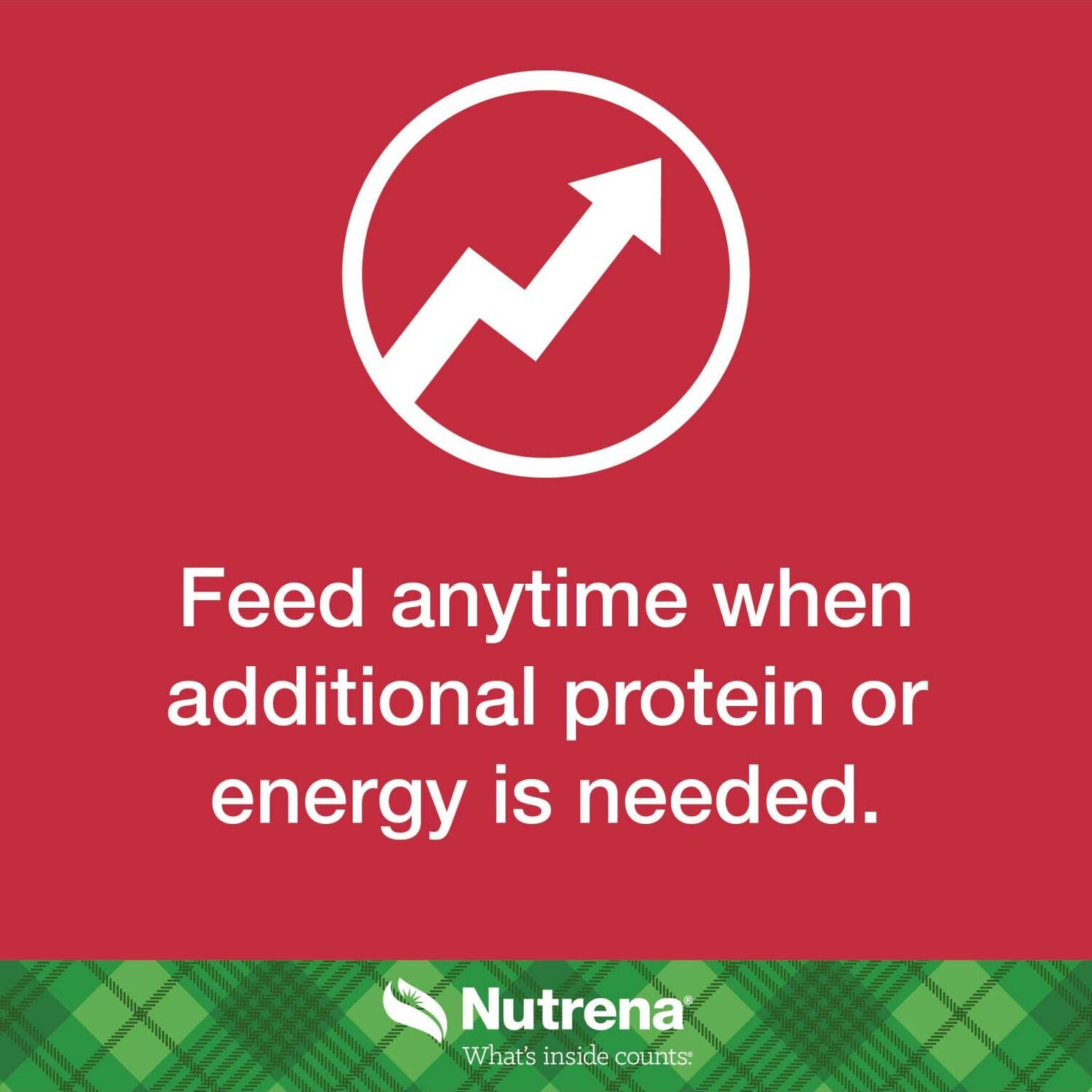 Nutrena NutreBeef Cubes, 50-Lb