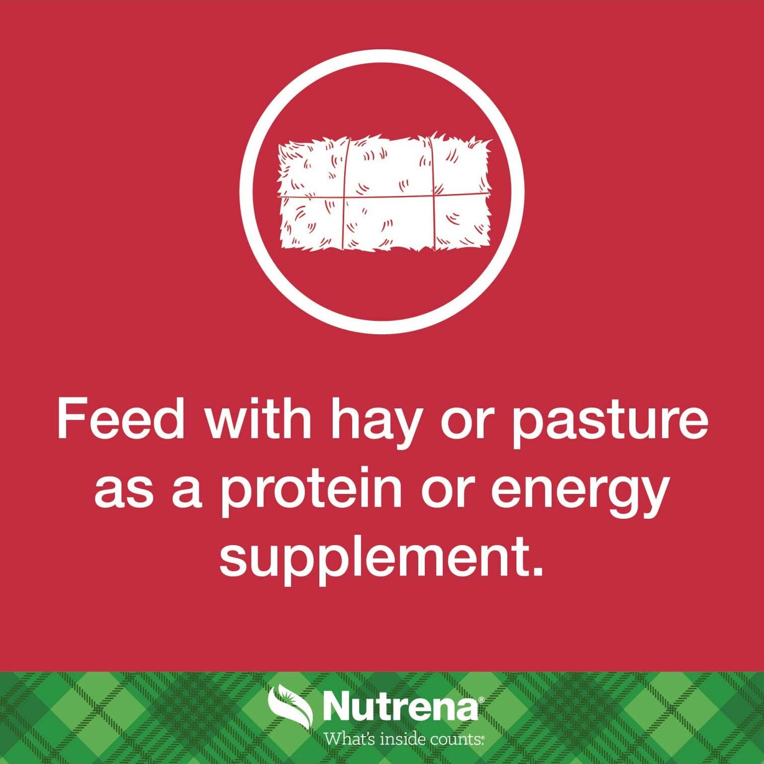 Nutrena NutreBeef Cubes, 50-Lb