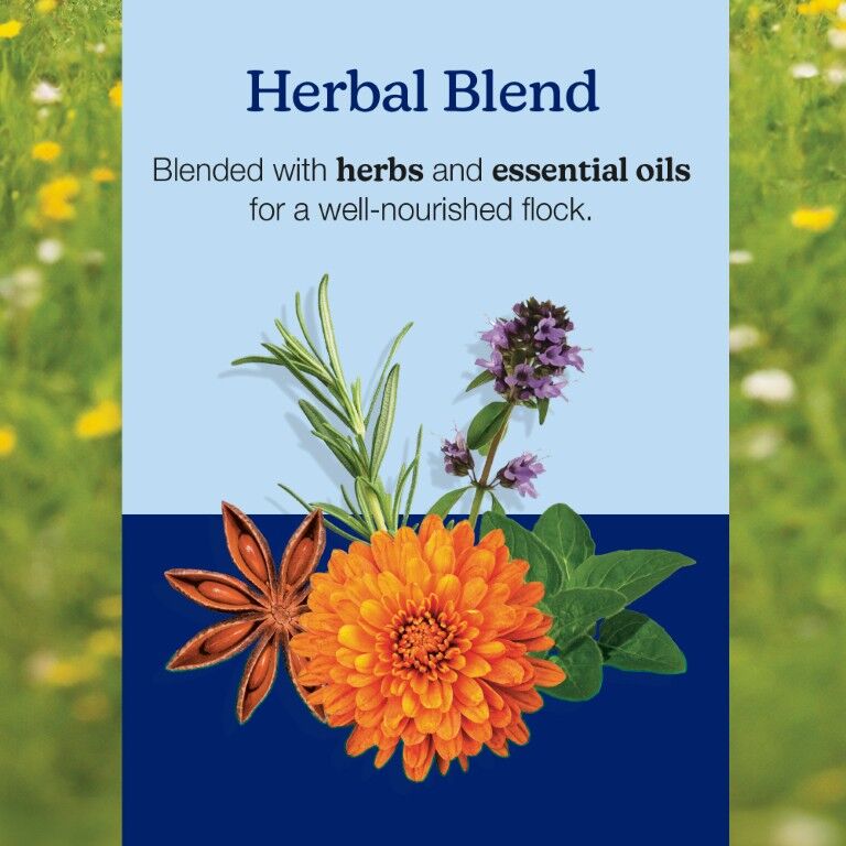 Nutrena NatureWise Harvest Blend 18% Textured Layer Feed, 40-Lb