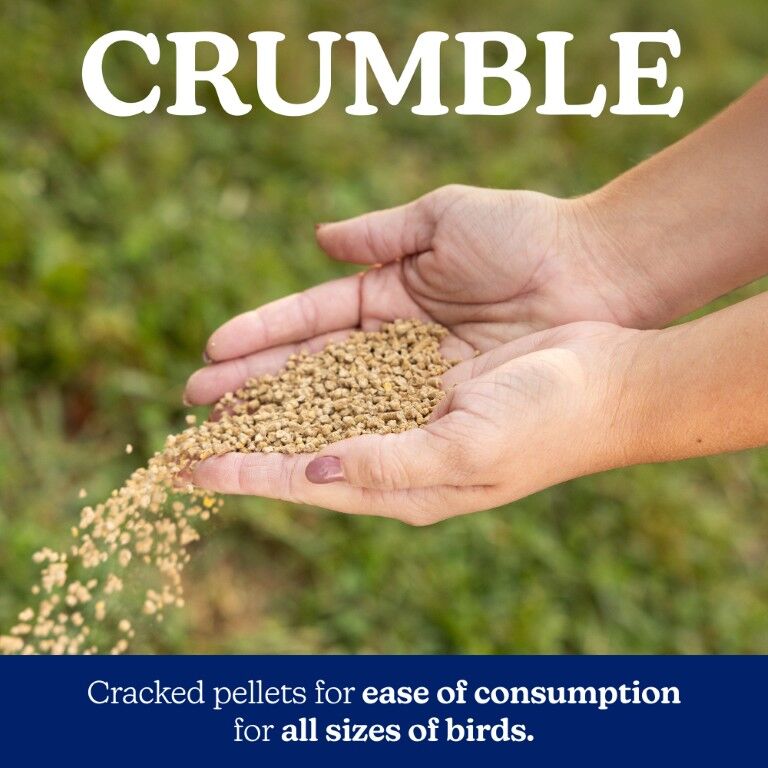 Nutrena NatureWise Layer 17% Protein Crumble, 40-Lb