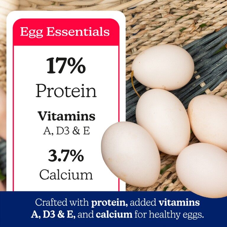Nutrena NatureWise Layer 17% Protein Crumble, 40-Lb