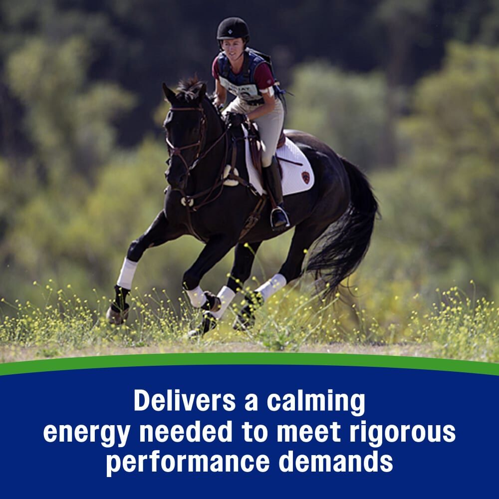 Farnam Weight Builder Equine Supplement, 7.5-Lb