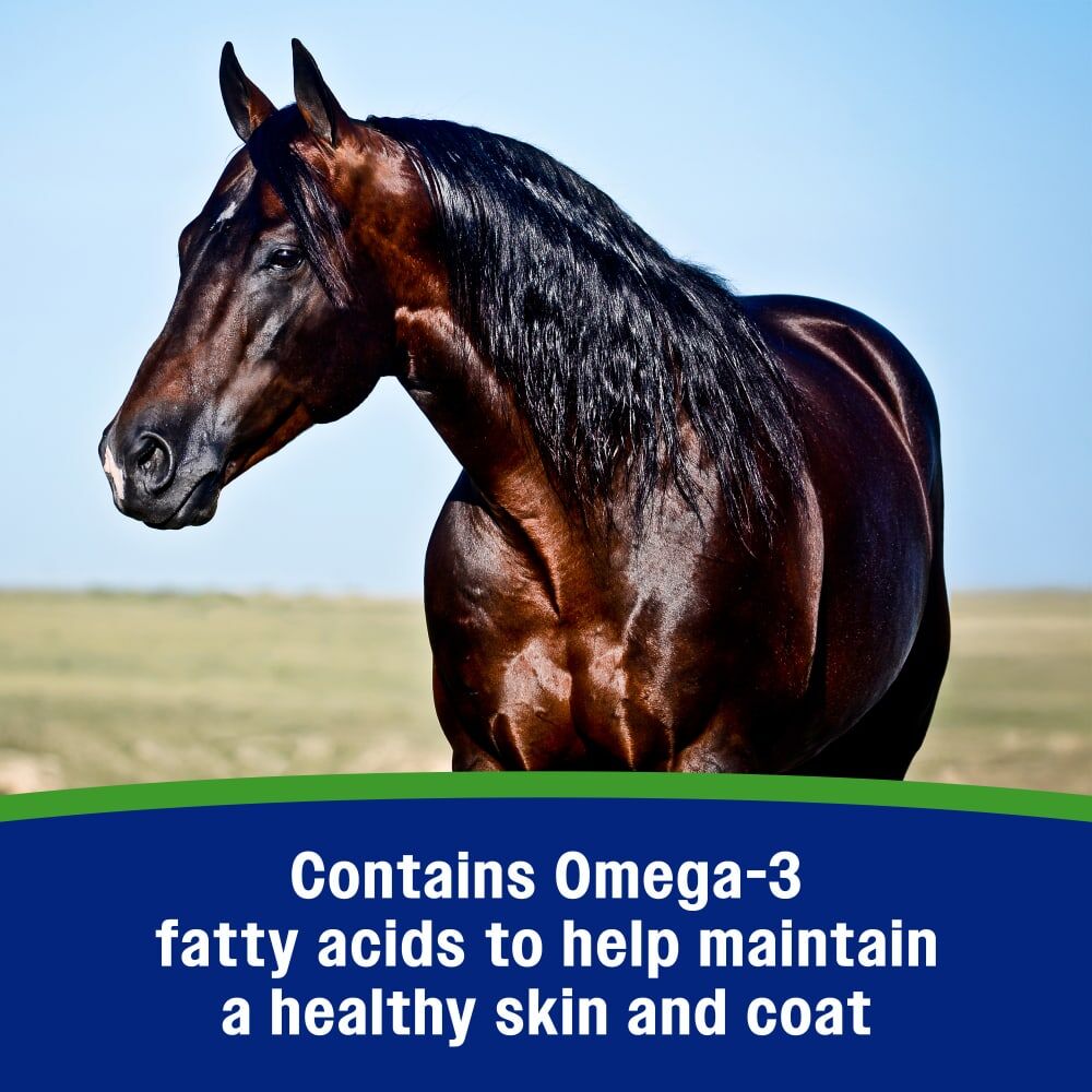 Farnam Weight Builder Equine Supplement, 7.5-Lb