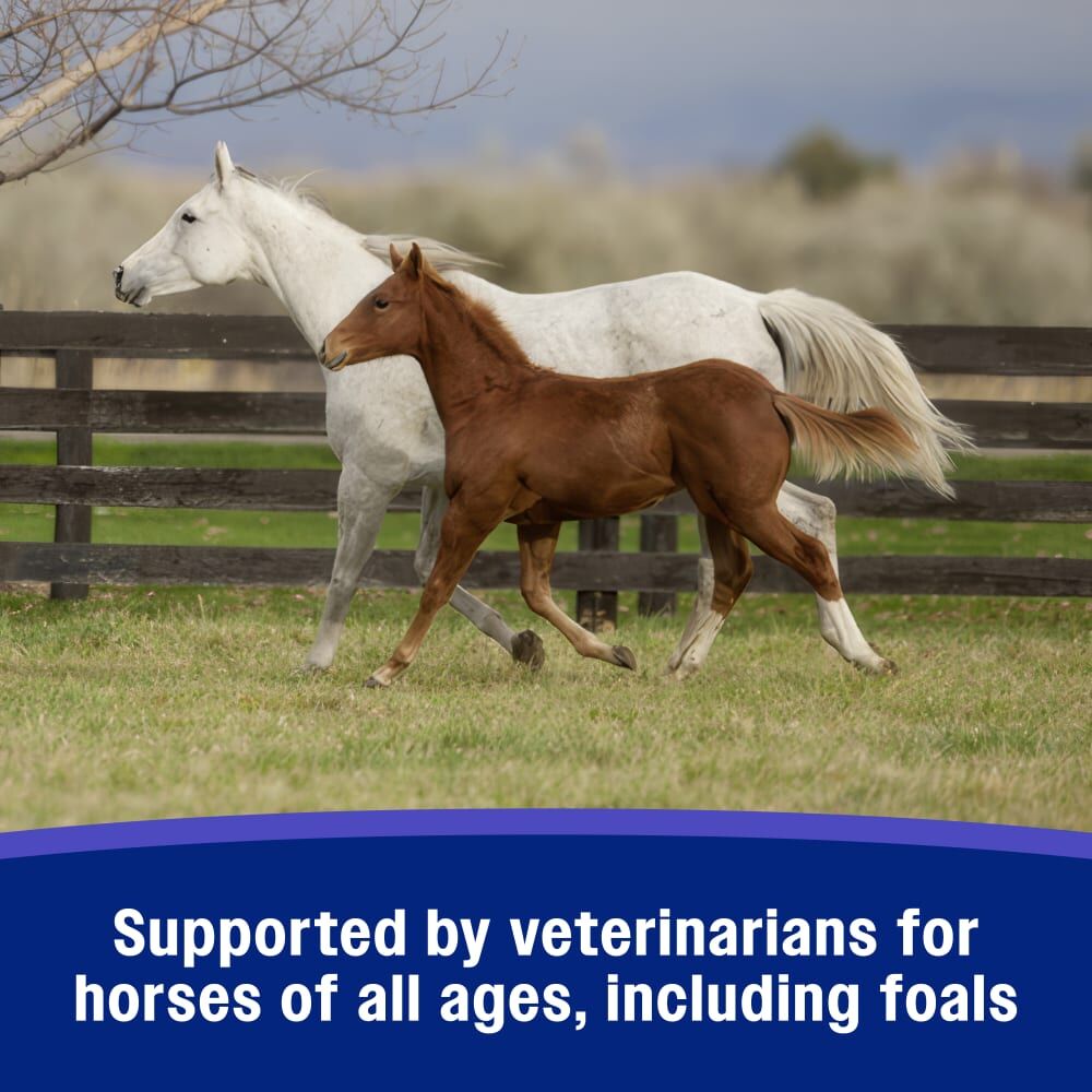 Farnam SandClear Natural Psyllium Crumbles, 20-Lb