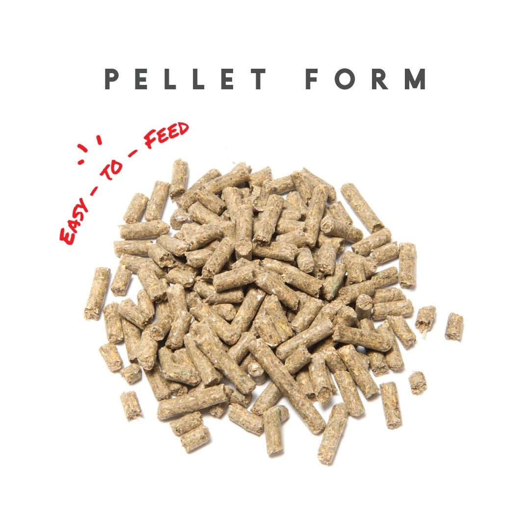 Manna Pro Sho-Glo Equine Vitamin & Mineral Supplement, 5-Lb