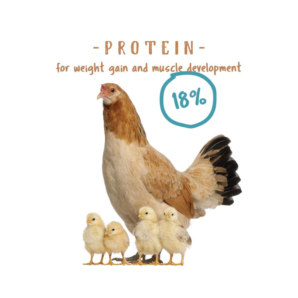 Manna Pro Non-Medicated Chick Starter Crumbles, 5-Lb