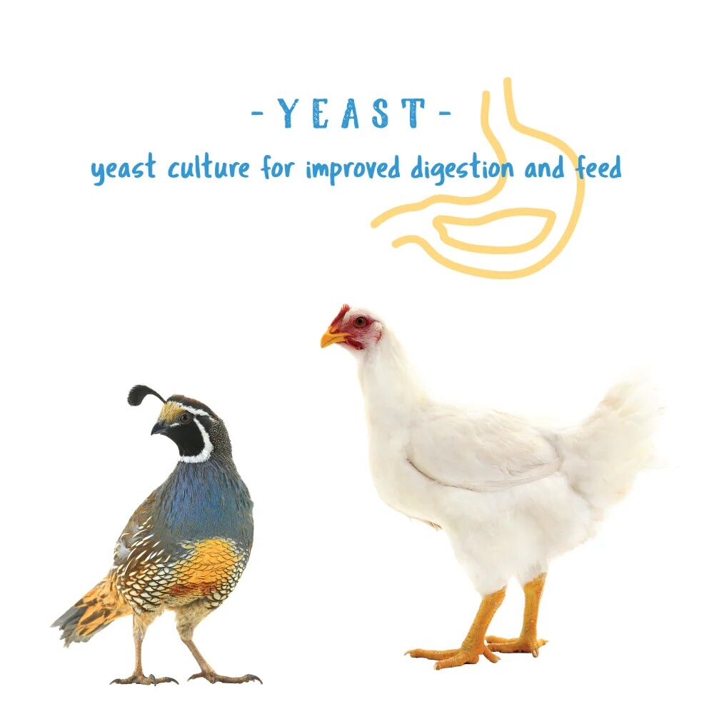 Manna Pro Gamebird & Showbird Starter Grower Crumbles, 5-Lb