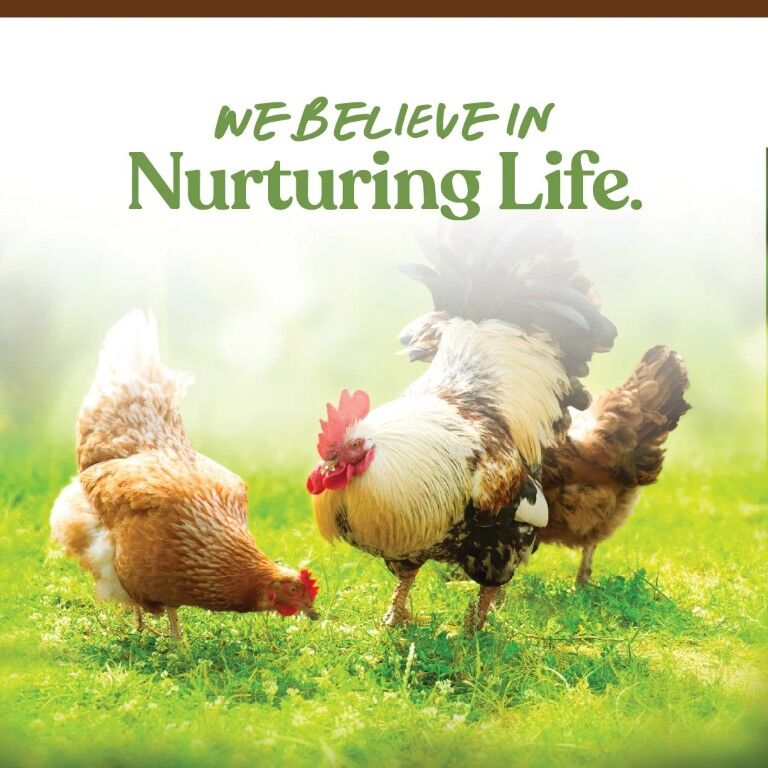 Manna Pro Garden Delight Poultry Treat, 2.25-Lb