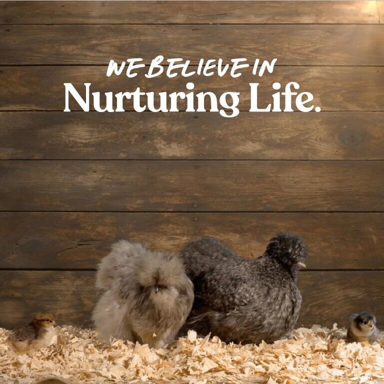 Manna Pro Omega Egg Maker Supplement, 5-Lb