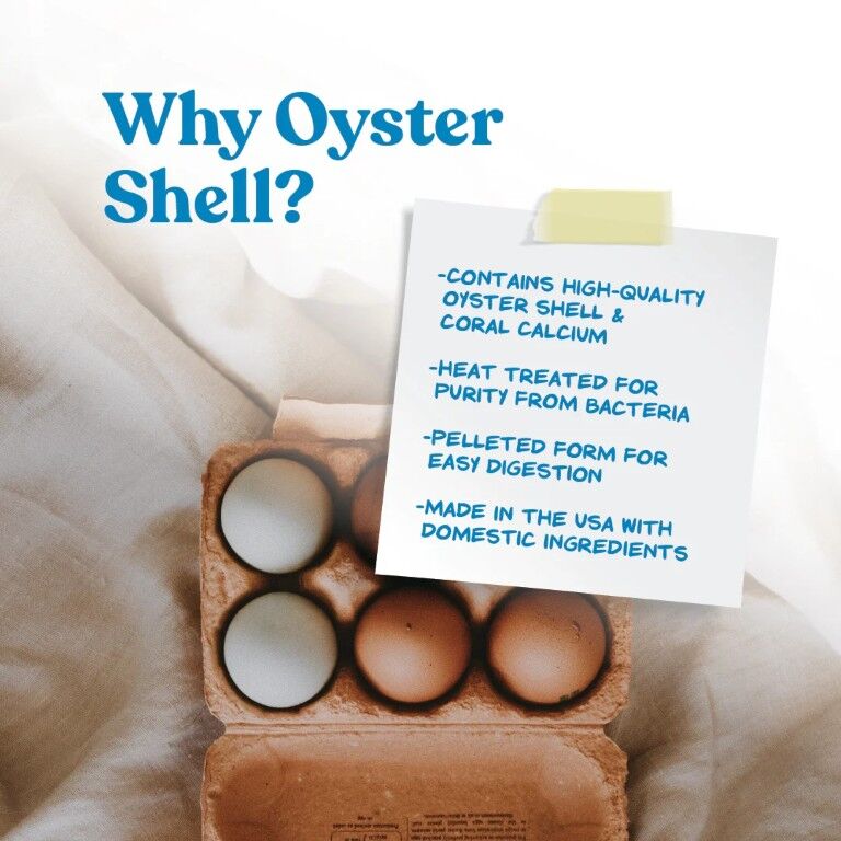 Manna Pro Oyster Shell Layer Supplement, 5-Lb
