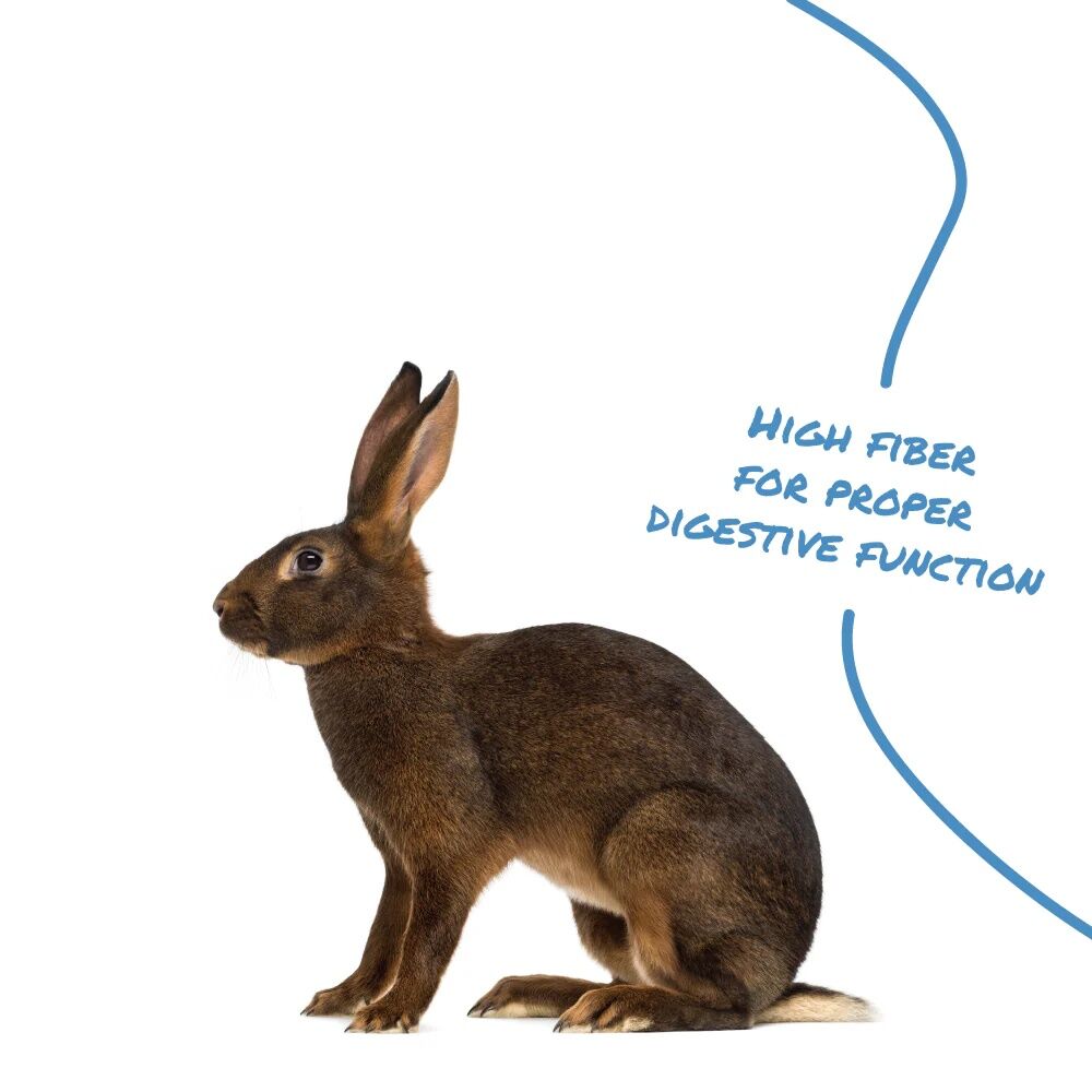 Manna Pro Select Series Gro Formula Rabbit Feed, 50-Lb