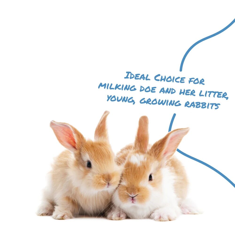 Manna Pro Select Series Pro Formula Rabbit Feed, 50-Lb