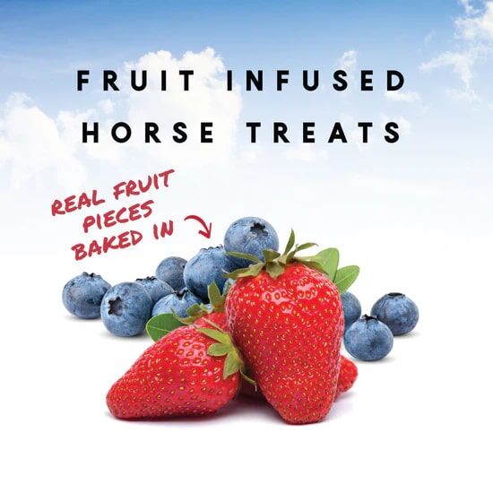 Manna Pro Nutrigood FruitSnax BerryMint & Oats, 2-Lb