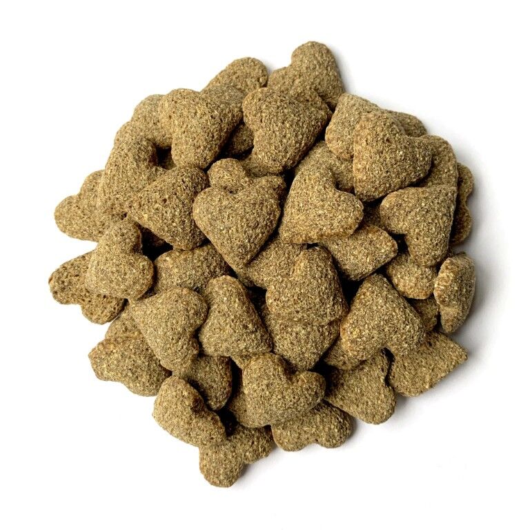 Mazuri Mini Pig Treats Oats & Honey, 6-Lb