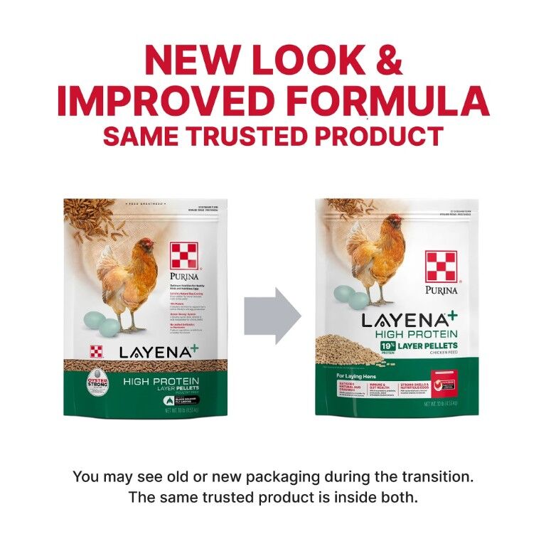 Purina Layena + High Protein 19% Layer Feed, 40-Lb