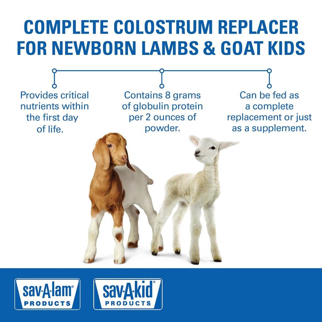 Sav-A-Caf Lamb and Kid Colostrum Replacer, 10-Oz