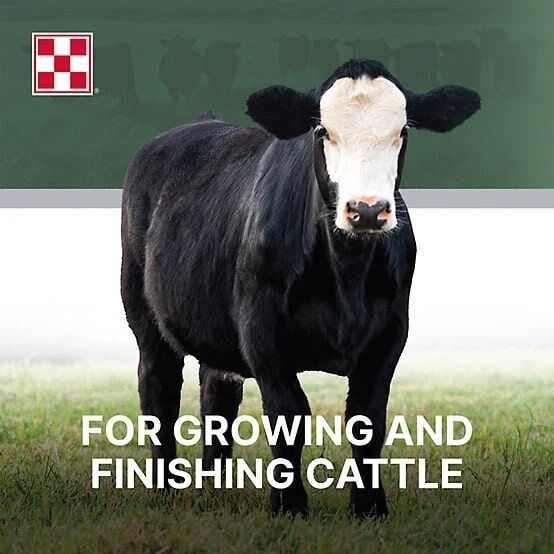 Purina 12% Cattle Grower-Finisher, 50-Lb
