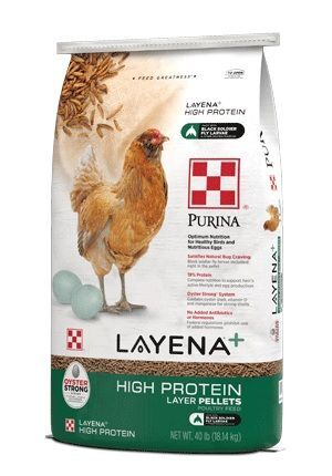Purina Layena + High Protein Layer Feed, 10-Lb
