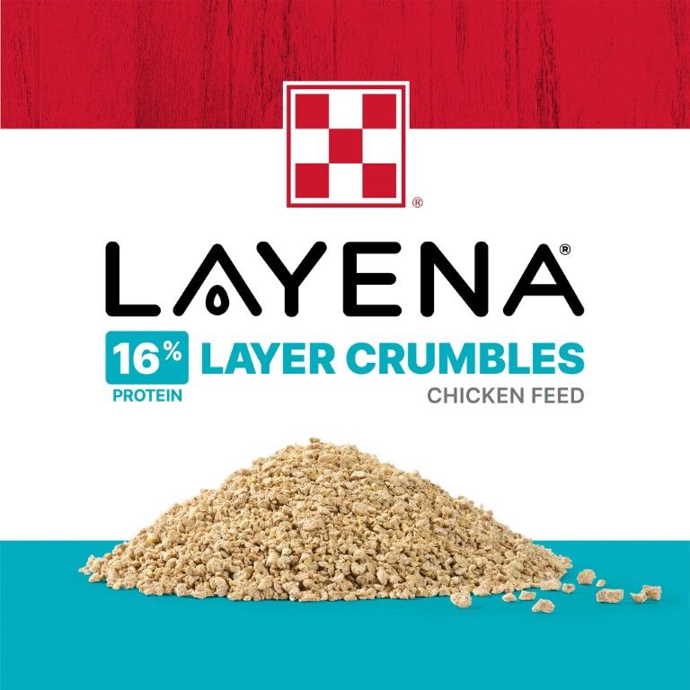 Purina Layena Crumbles 16% Layer Hen Feed, 50-Lb