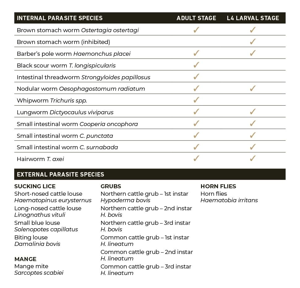 Boehringer Ingelheim Ivomec Pour-On Ivermectin Topical Solution For Cattle, 2.5-L