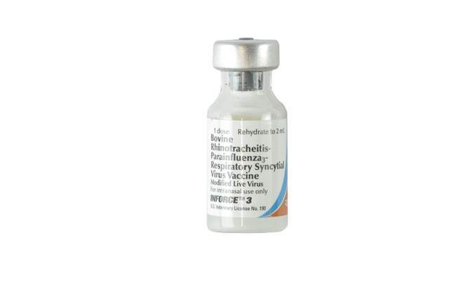 Zoetis Inforce 3 Intranasal Cattle Vaccine