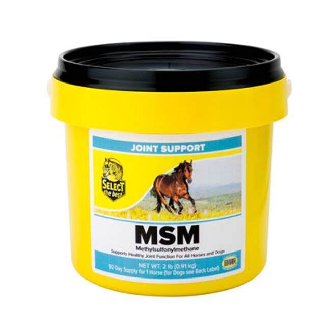 Select The Best MSM Joint Support, 2-Lb