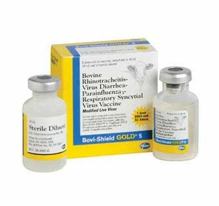 Pfizer Bovi Shield Gold-5 Dose