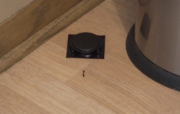 PIC Ant Killer Bait, 4-Pk