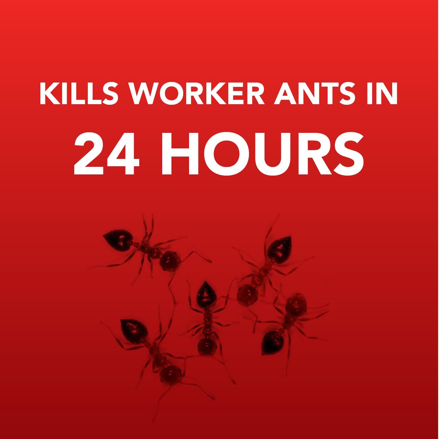 Ortho Home Defense Ant Killer, 4-Pk