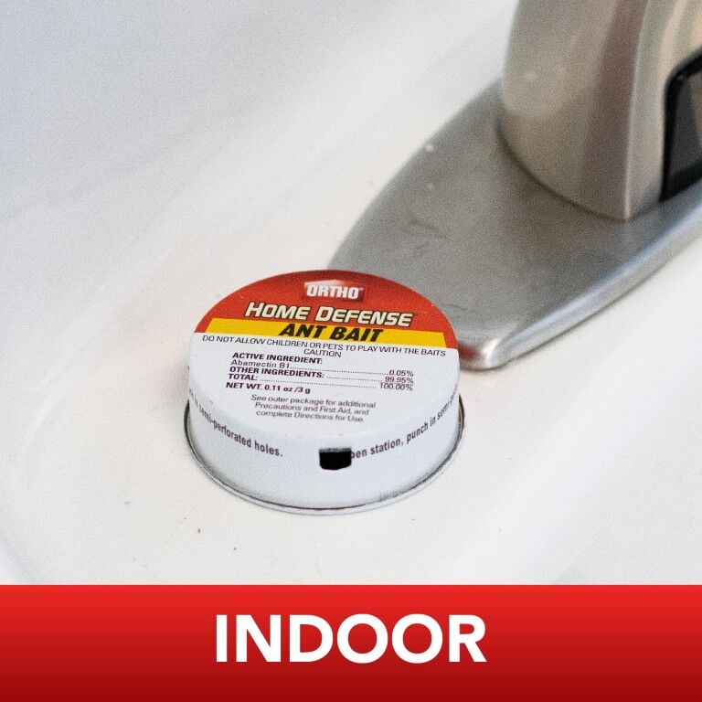 Ortho Home Defense Ant Killer, 4-Pk