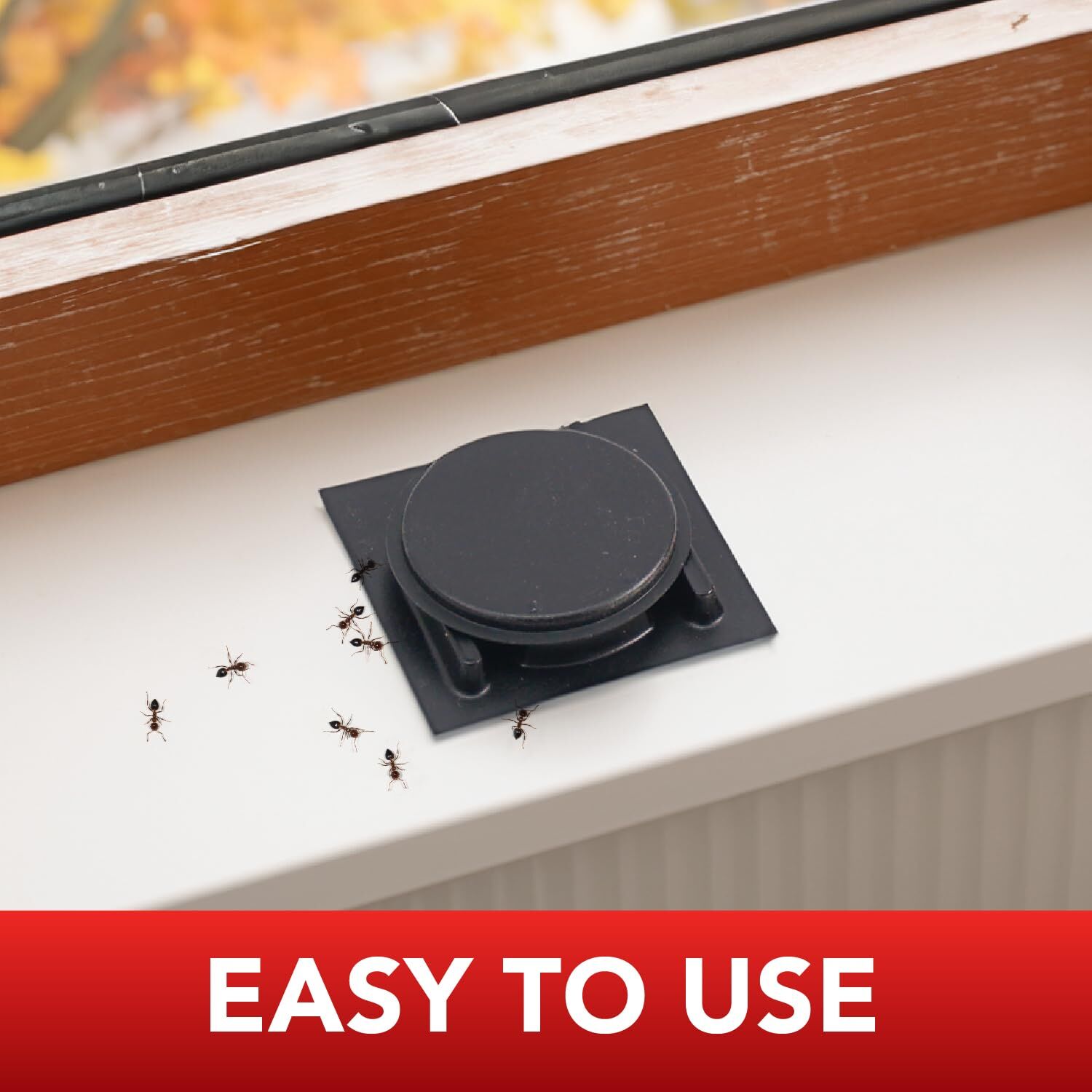 Ortho Home Defense Ant Bait Plastic, 8-Pk