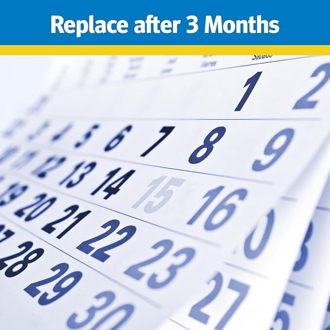 Raid Pantry & Flour Moth Trap, 2-Pk