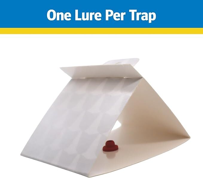 Raid Pantry & Flour Moth Trap, 2-Pk