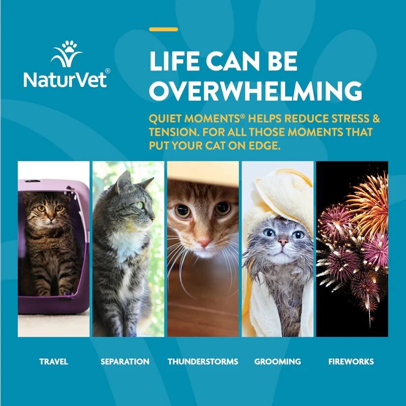 NaturVet Quiet Moments® Cat Calming Aid Soft Chews, 60-Ct