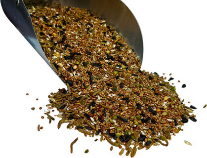 Bar ALE Tillie's Treats 6 Way Whole Grain Party Pack, 10-Lb